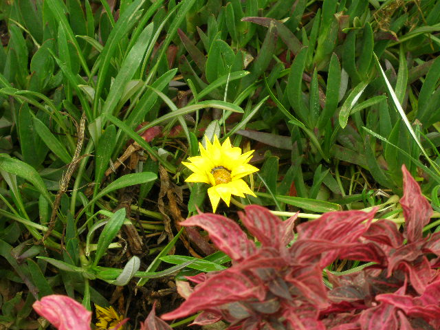 Foto de Cutervo, Perú