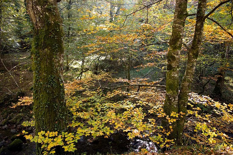 Foto de Ucieda (Cantabria), España