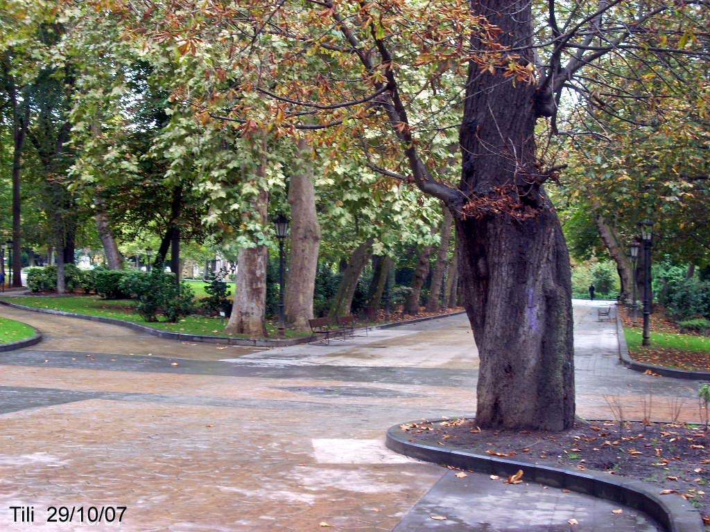 Foto de Oviedo (Asturias), España