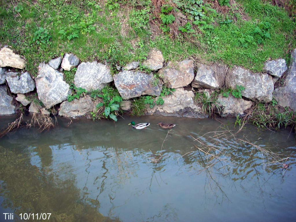 Foto de Las Caldas (Asturias), España