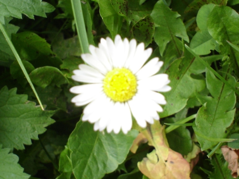 Foto de Vall de Nuria (Girona), España