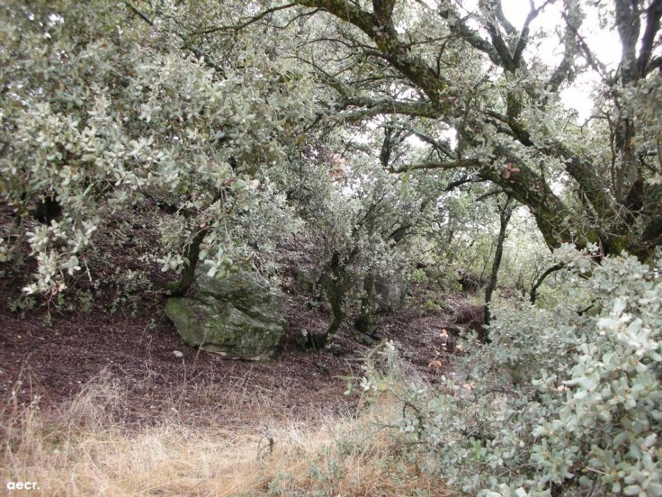 Foto de Quijorna (Madrid), España