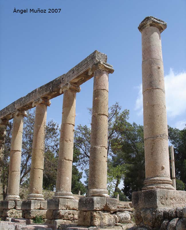 Foto de Jerasa - Jerash, Jordania
