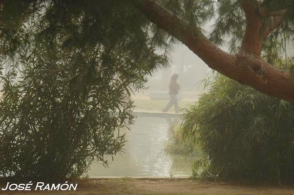 Foto de Jerez de la Frontera (Cádiz), España