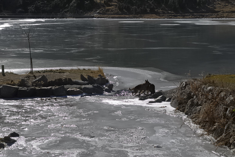 Foto de Valle de Nuria (Barcelona), España