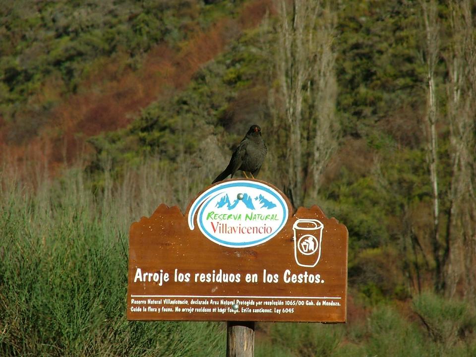 Foto de Mendoza, Argentina