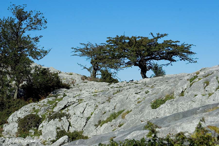 Foto de Piloña - Colunga (Asturias), España