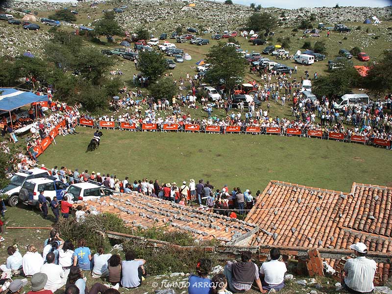 Foto de Parres - Colunga (Asturias), España