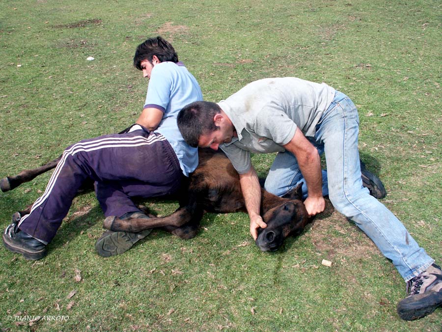 Foto de Parres - Colunga (Asturias), España