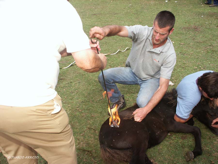 Foto de Parres - Colunga (Asturias), España