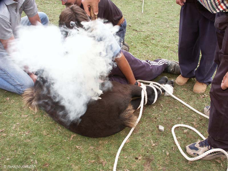 Foto de Parres - Colunga (Asturias), España