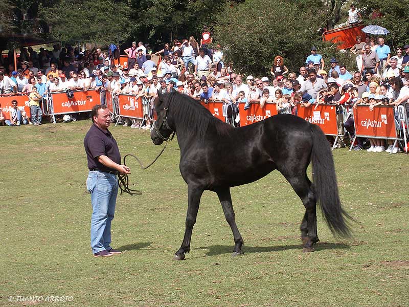 Foto de Parres - Colunga (Asturias), España