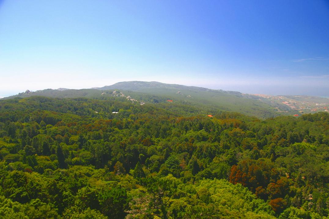 Foto de Sintra, Portugal