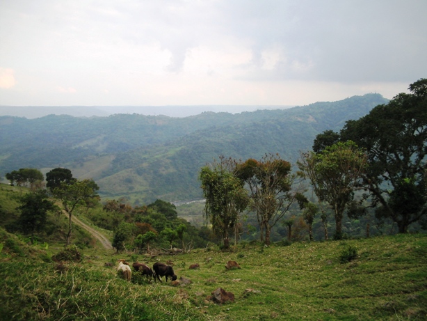 Foto de Tlacuilotepec, México