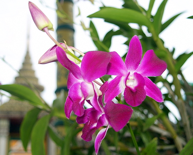 Foto de Bangkok, Tailandia