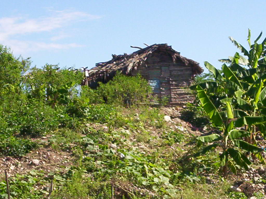 Foto de Azua, República Dominicana