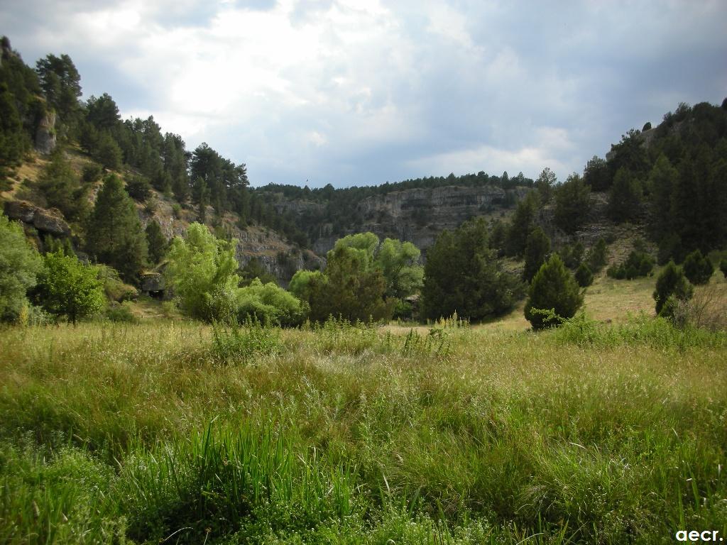 Foto de Ucero (Soria), España