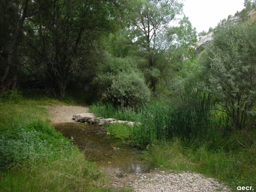 Foto de Ucero (Soria), España