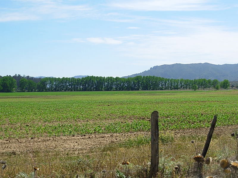 Foto de Casa Blanca, Chile