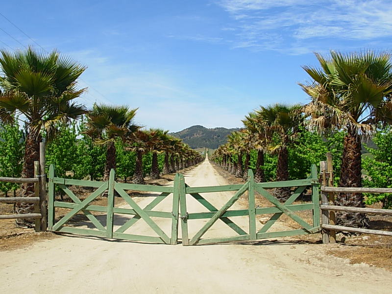Foto de Casa Blanca, Chile