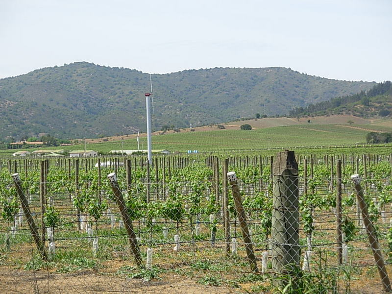 Foto de Casa Blanca, Chile