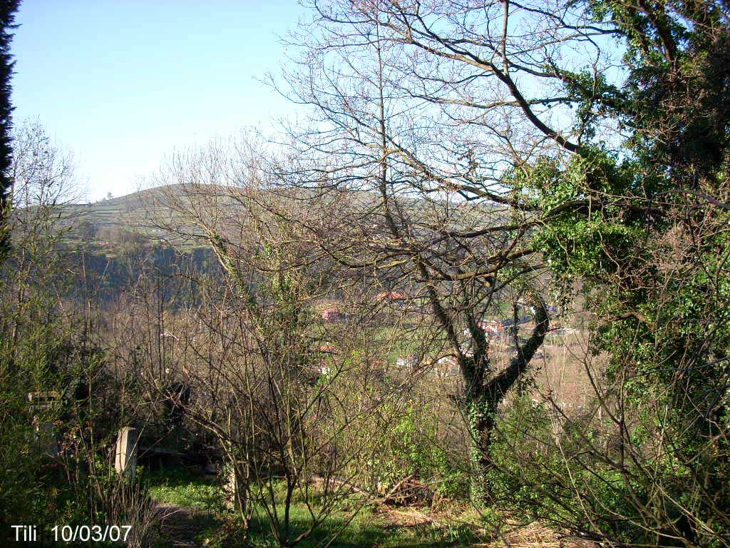 Foto de Figarines - Caces (Asturias), España