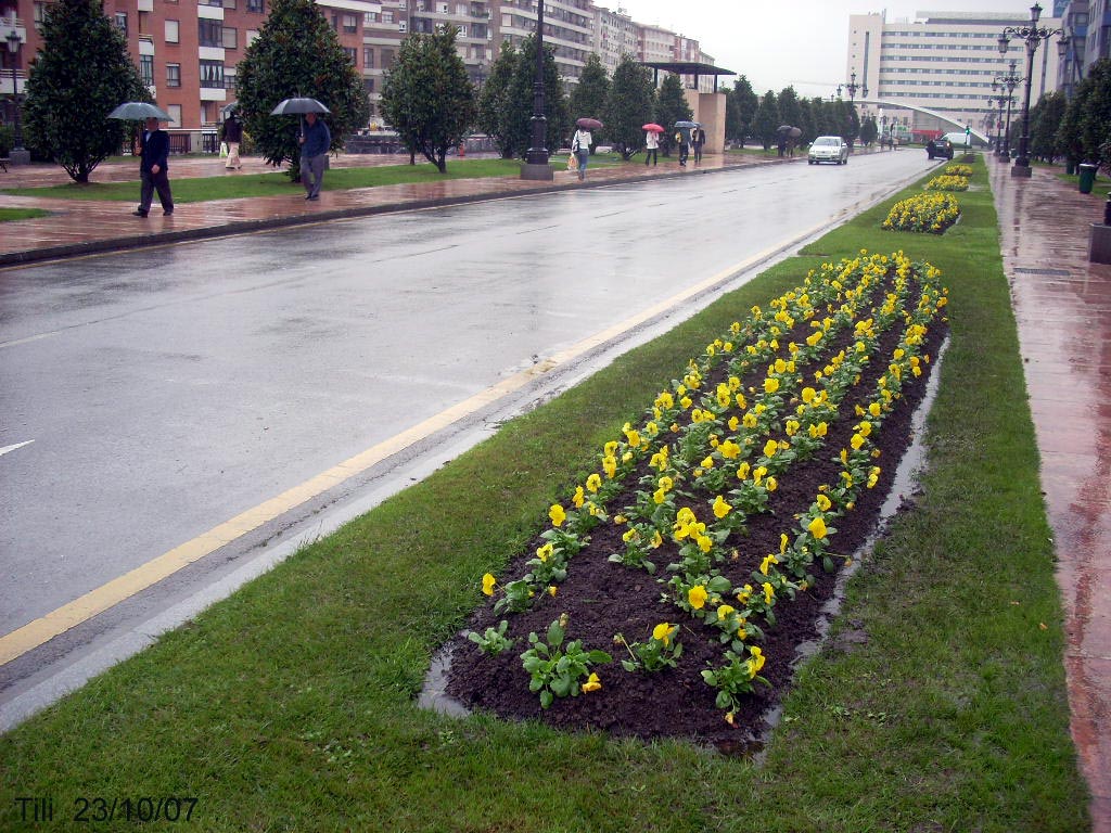 Foto de Oviedo (Asturias), España
