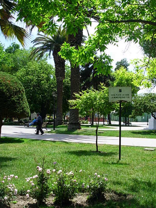Foto de Casa Blanca, Chile