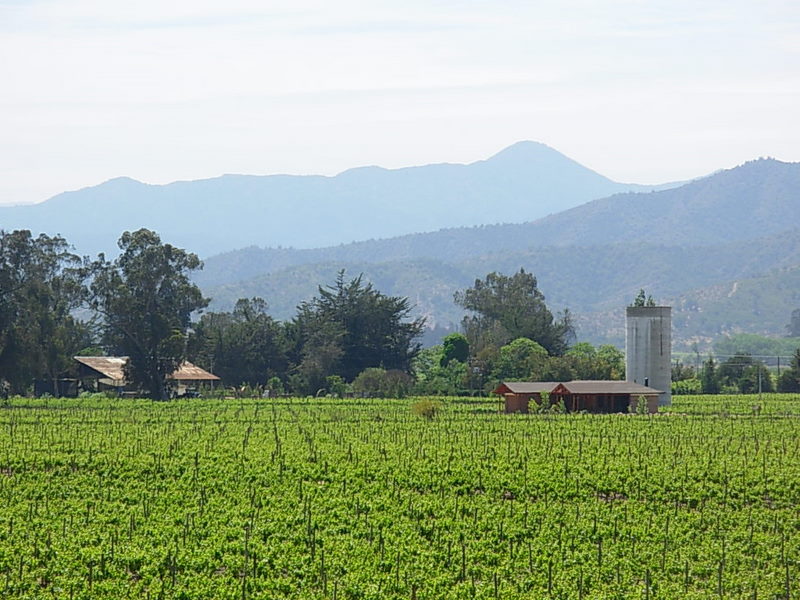 Foto de Casa Blanca, Chile