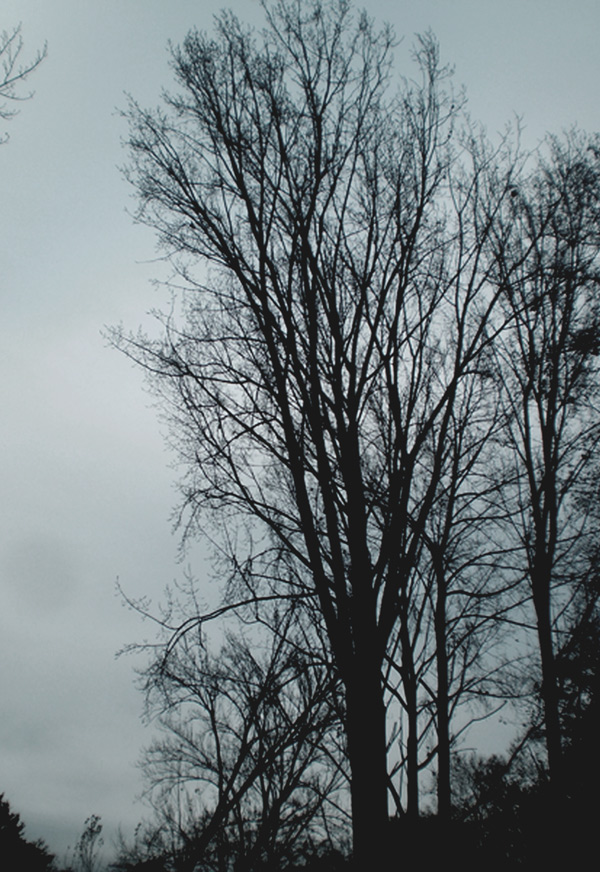 Foto de Cambre (A Coruña), España