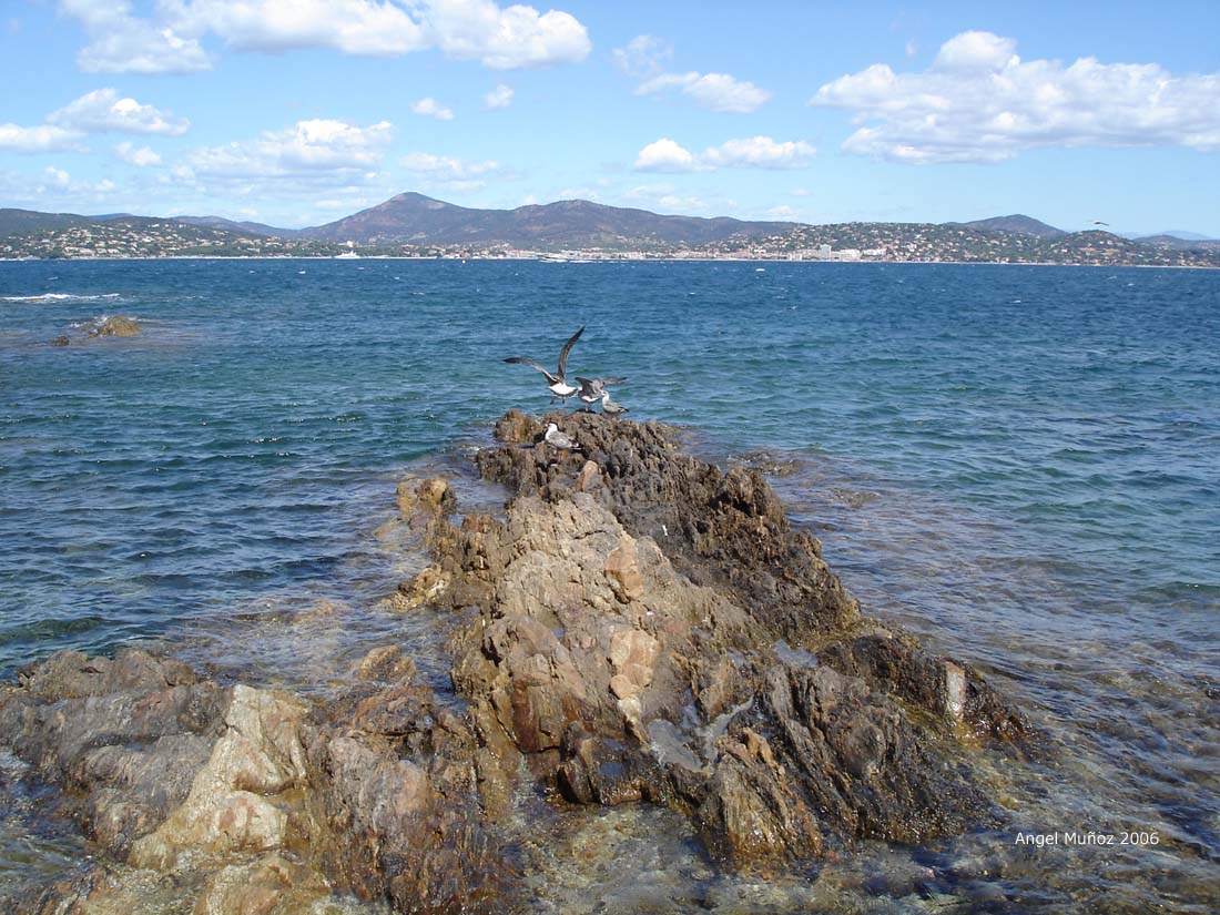 Foto de Saint Tropez, Francia