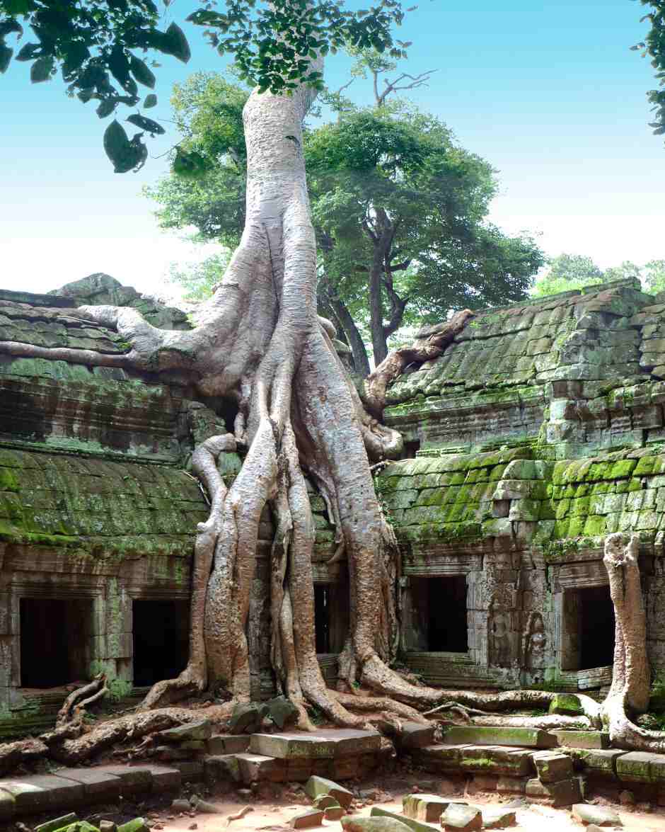 Foto de Siem Reap, Camboya