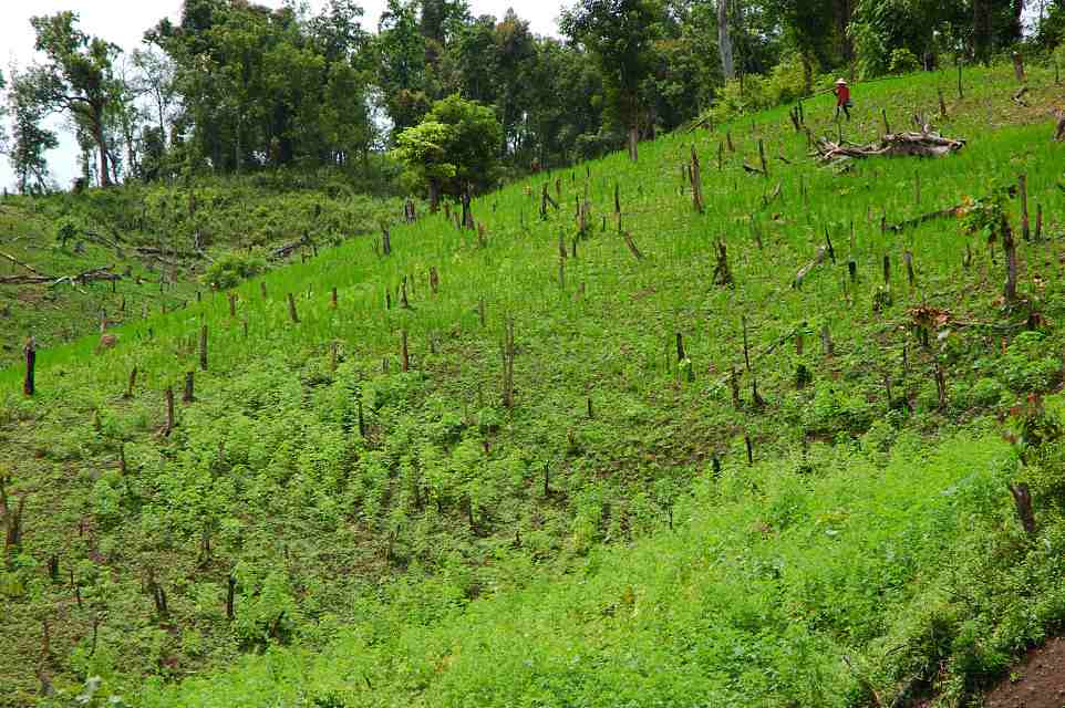 Foto de Rio Mekong, Laos