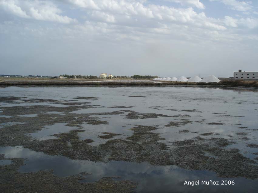 Foto de Trapani, Italia