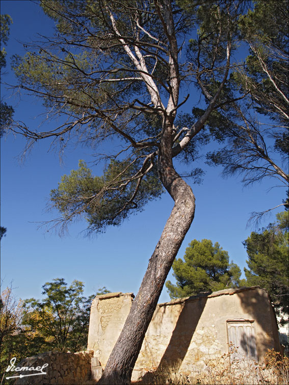 Foto de Alhama de Aragón (Zaragoza), España
