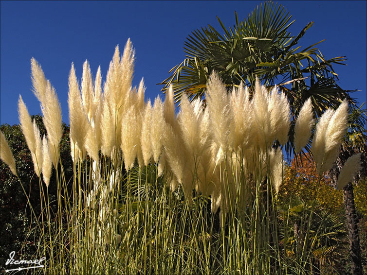 Foto de Alhama de Aragón (Zaragoza), España