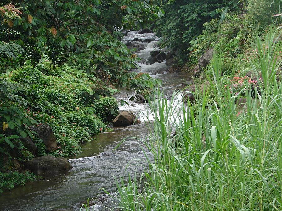 Foto de Tilaran, Costa Rica