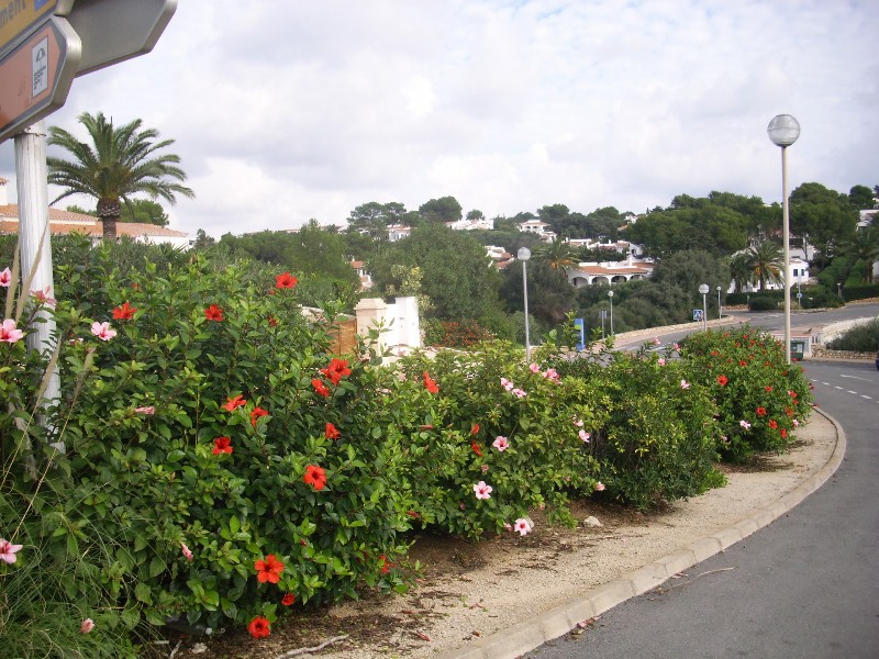 Foto de Binibeca Nou - Menorca (Illes Balears), España