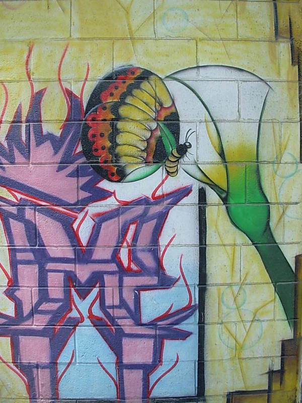 Foto de La Calera, Chile