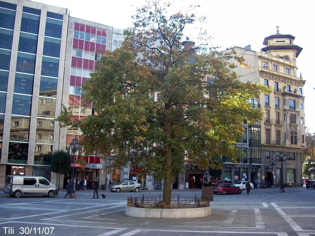 Foto de Oviedo (Asturias), España
