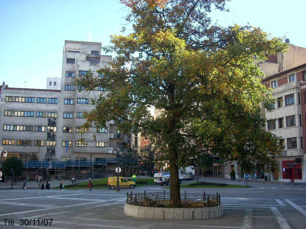 Foto de Oviedo (Asturias), España