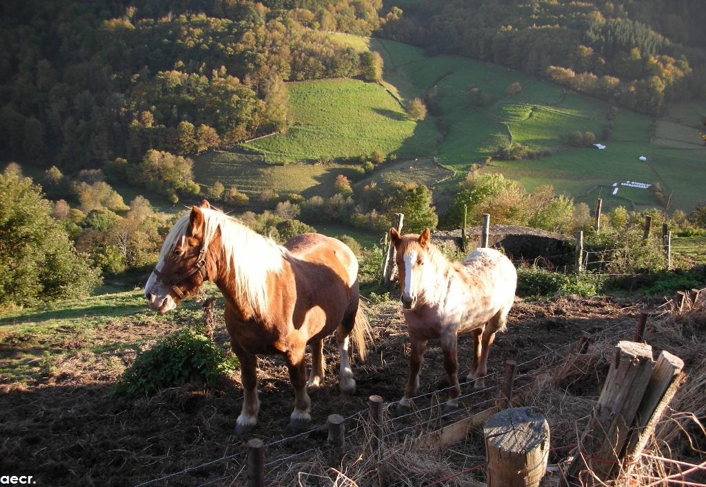Foto de Pola de Allande (Asturias), España