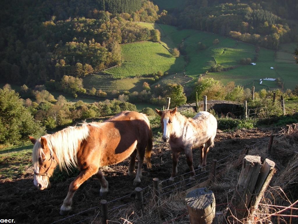Foto de Pola de Allande (Asturias), España