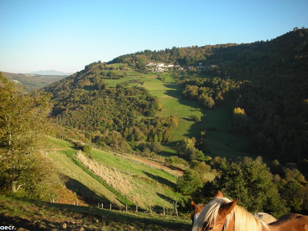 Foto de Pola de Allande (Asturias), España