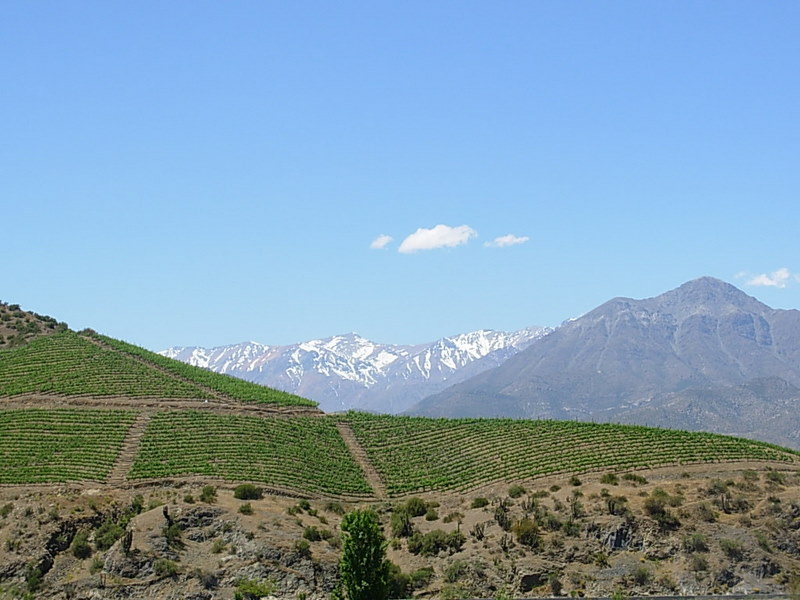 Foto de Los Andes, Chile
