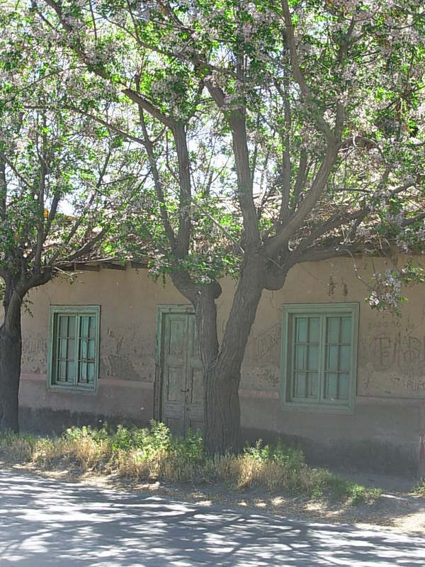 Foto de Los Andes, Chile