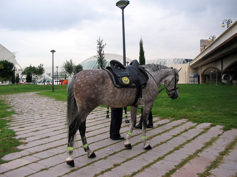 Foto de Valencia (València), España