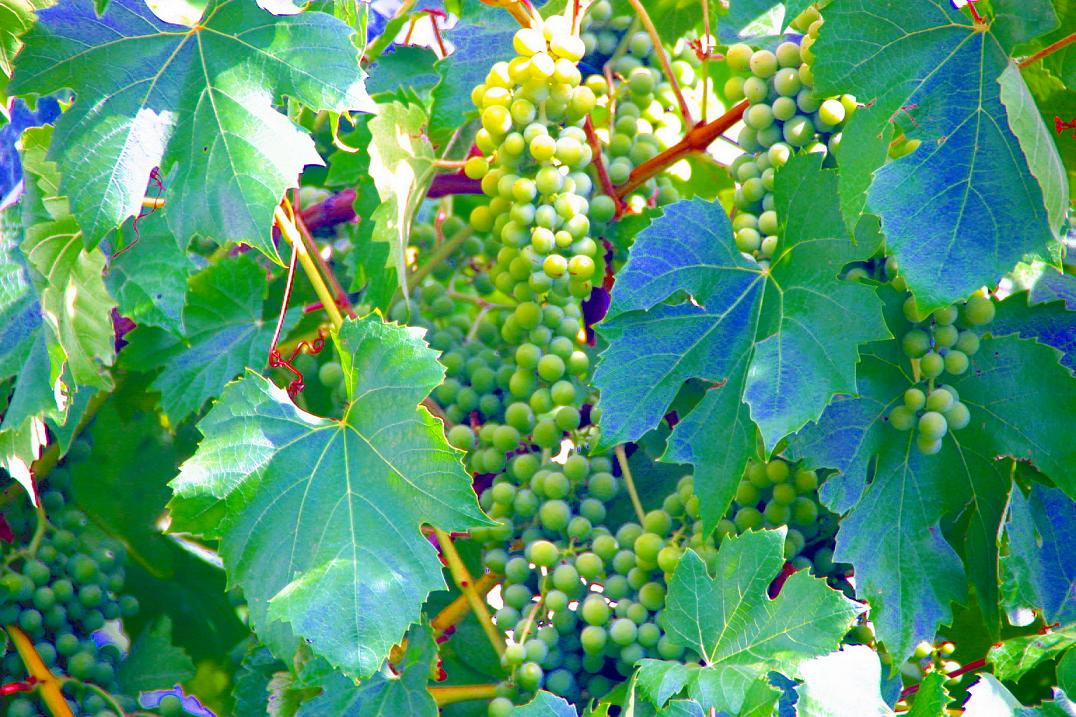 Foto de Bragança, Portugal