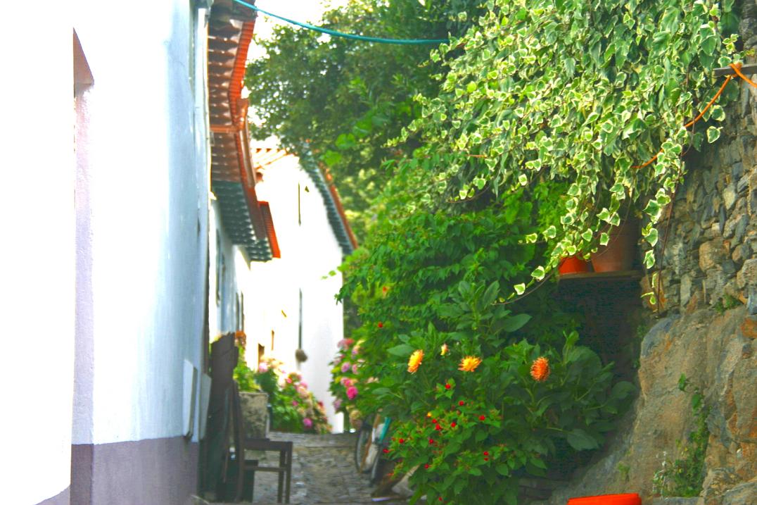 Foto de Bragança, Portugal