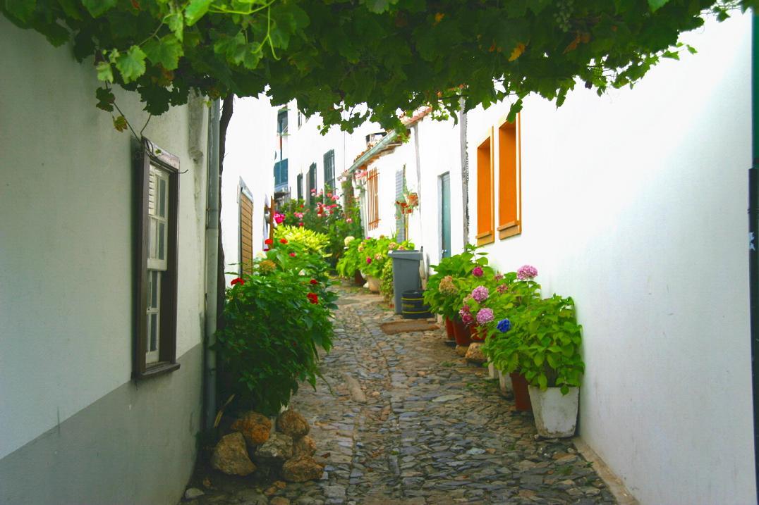 Foto de Bragança, Portugal